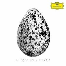 دانلود آلبوم موسیقی Snorri-Hallgrimsson-The-Importance-of-Birds
