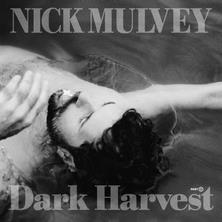 دانلود آلبوم موسیقی Nick-Mulvey-Dark-Harvest-Pt-1