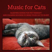 آلبوم Music For Cats اثر Pet Music World