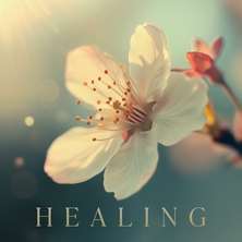 دانلود آلبوم موسیقی VA-Healing