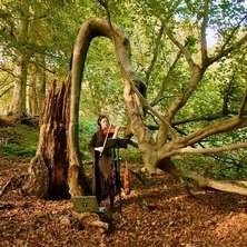 دانلود آلبوم موسیقی Violeta-Vicci-Fallen-Trees