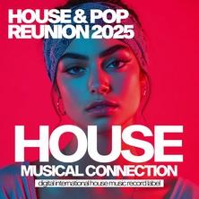 دانلود آلبوم موسیقی VA-House-Pop-Reunion-2025