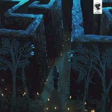 آلبوم Lost Labyrinth اثر Altered Sigh