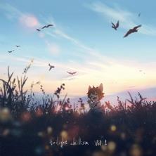 آلبوم Twilight Chillism, Vol. 1 اثر Various Artists