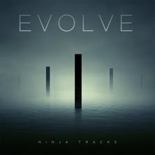آلبوم Evolve اثر Ninja Tracks