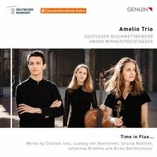 آلبوم Time in Flux ... اثر Amelio Trio