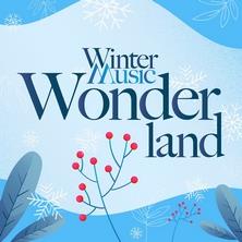 آلبوم Winter Music Wonderland اثر Various Artists