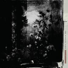 دانلود آلبوم موسیقی the-burning-paris-last-leaves