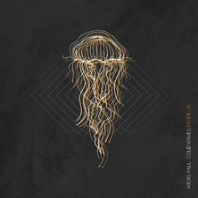 دانلود آلبوم موسیقی Midas-Fall-Cold-Waves-Divide-Us