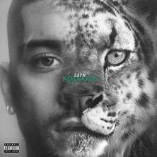 دانلود آلبوم موسیقی ZAYN-Konnakol