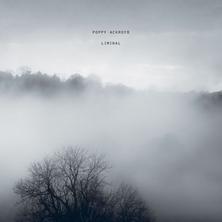 دانلود آلبوم موسیقی Poppy-Ackroyd-Liminal
