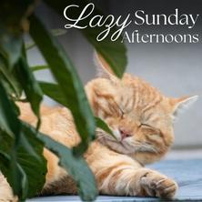 دانلود آلبوم موسیقی VA-Lazy-Sunday-Afternoons