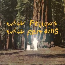 آلبوم What Follow What Remains اثر Nathaniel Earl