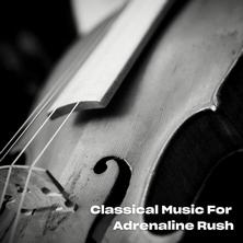 playlist-cover-19656