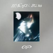 آلبوم Halcyon Blues اثر Citizen