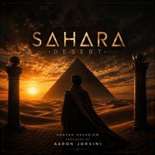دانلود آلبوم موسیقی Sahara Desert