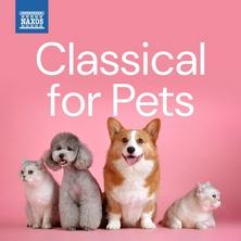 دانلود آلبوم موسیقی Various-Artists-Classical-For-Pets