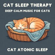 دانلود آلبوم موسیقی Cat-Atonic-Sleep-Cat-Sleep-Therapy-Deep-Calm-Music-For-Cats