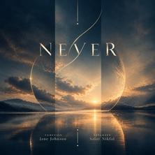 دانلود آلبوم موسیقی Never