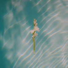 آلبوم In Each Moment اثر Goldmund