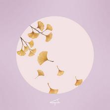 آلبوم Autumn Equinox اثر Tony Ann