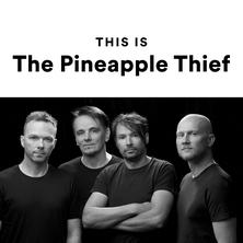 آلبوم This Is The Pineapple Thief اثر The Pineapple Thief