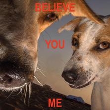 آلبوم Believe You Me اثر Mackeeper