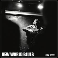 دانلود آلبوم موسیقی feral-foster-new-world-blues