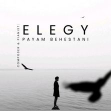 دانلود آلبوم موسیقی payam-behestani-elegy