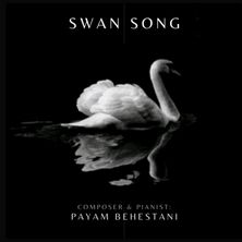 دانلود آلبوم موسیقی payam-behestani-swan-song