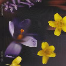 آلبوم Sleeping Spring اثر Yuliya Kotskaya
