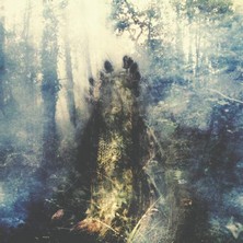 - Wistful