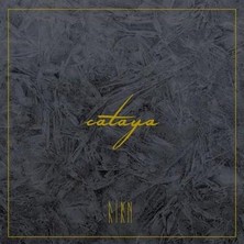 دانلود آلبوم موسیقی cataya-firn