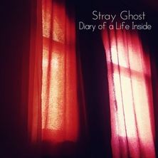 دانلود آلبوم موسیقی Stray-Ghost-Diary-of-a-Life-inside