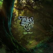 دانلود آلبوم موسیقی Taylor-Eigsti-Tree-Falls