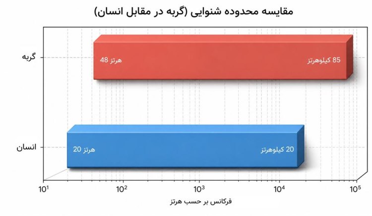 تصویر شماتیک از محدوده شنیداری گوش گربه و انسان